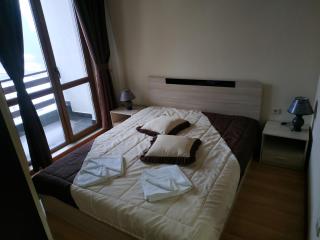 Ski & Holiday Apartments in Pamporovo - Pamporovo - 5