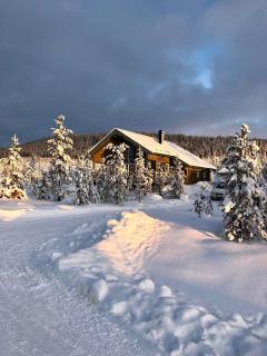 Cozy Ski-In Cabin Only 40m to the Slopes and Ski Lift, Idre Himmelfjäll - 9