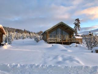 Cozy Ski-In Cabin Only 40m to the Slopes and Ski Lift, Idre Himmelfjäll - 7