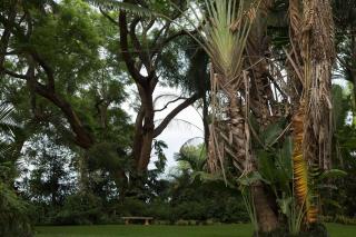 St George's Guest House - Tzaneen - 4