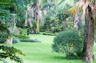 St George's Guest House - Tzaneen - 9