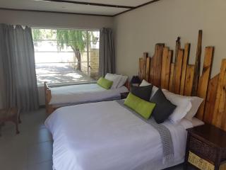 Fig Tree - Colesberg - 5
