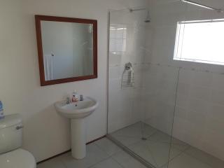 Fig Tree - Colesberg - 4