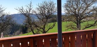 Huberhof im Almenland - Sankt Kathrein am Offenegg - 8