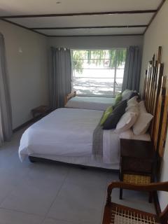 Fig Tree - Colesberg - 1
