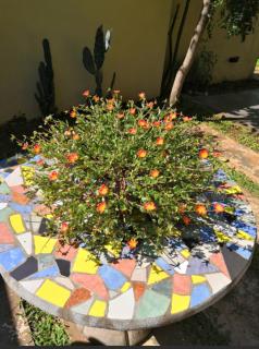 Duplex a pasitos del centro contactar número primer foto - 7