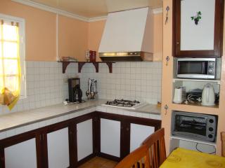 CASAMELIAS "Le camélia" - Cilaos - 1