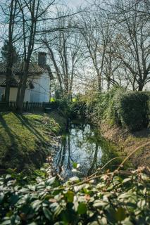 Le Vigne Morosina - 4