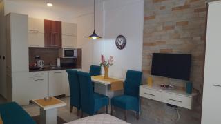 Andre P05 Milmari - Kopaonik - 4