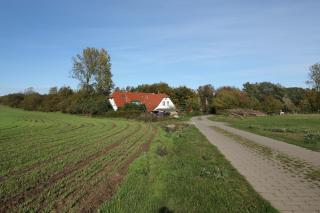 Landhaus Alt Reddevitz - Middelhagen - 7