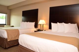 Qube Hotel - Polk City - 3