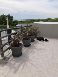 Holiday home Plat CX - Belej - 6