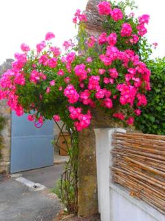 La Talmondaise - Maison chaleureuse pour vos vacances ! - 6