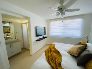 Suite Única Renovada Céntrica Av Zaragoza C14 - Casa Blanca La Corregidora - 9