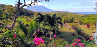 Ananda Guesthouse - 0