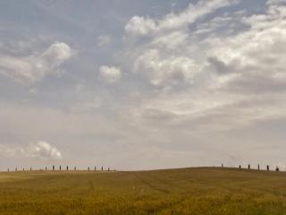 La Saracina - Pienza - 1
