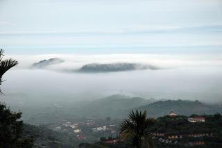 Fairy Lake Leisure Farm - Tainan - 7