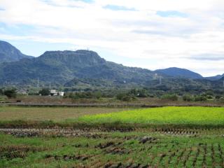 Joel's Garden 悠爾庭園古厝民宿 - 8