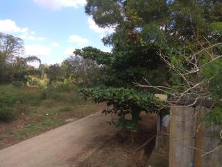 Dreams River view Homestay Coorg - 1