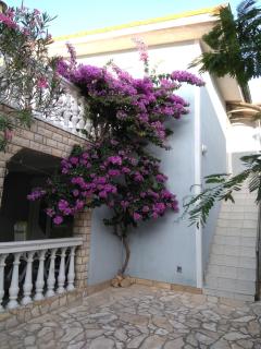 Apartmani Korade - Vir - 9