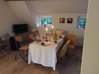 Gästewohnung am Museum - Braunsdorf - 7