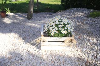 SWEET HOUSE - Santa Margalida - 6