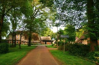 Onder de Linde, Rust, Natuur en Privacy - Benneveld - 4