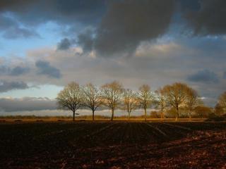 Onder de Linde, Rust, Natuur en Privacy - Benneveld - 2