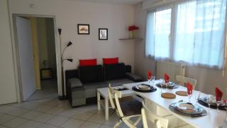 Appart T2 standing tout confort au calme - parking en option - Lione - 7