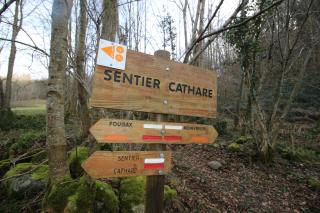 Toupinat - Montferrier - 4