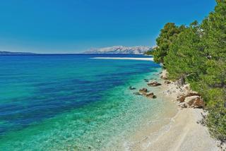 Beach Apartments Anton - Makarska - 5