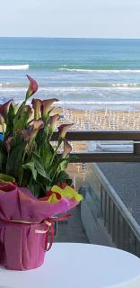 Hotel Ondina - Lido di Jesolo - 1