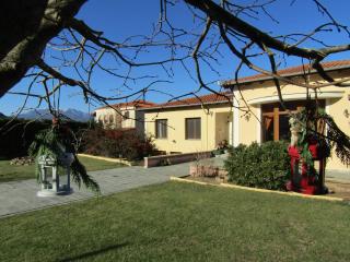 Kavala Villa 360 degrees green - 9