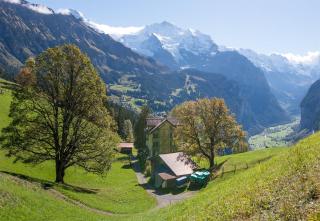 Chalet Hunnenfluh - Wengen - 5