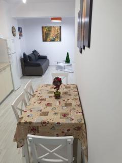 Topaz Central Apartment - Bacău - 1