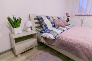 Apartament u Andrzeja - Polanica-Zdrój - 3