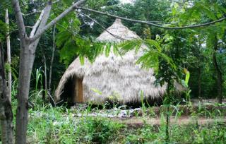 Memoria Palace & Resort - Pailin - 6
