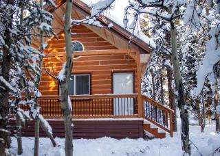 Denali Wild Stay - Redfox Cabin, Free Wifi, private, sleep 6 - 6