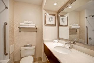 Holiday Inn Windsor - Ambassador Bridge by IHG - Windsor - 2