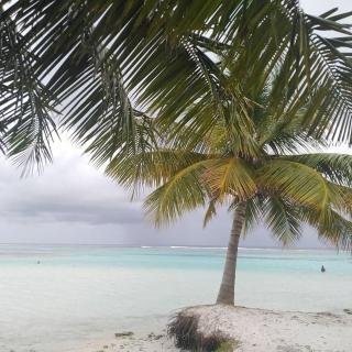 Bahari Lodge, K.Kaashidhoo - 9