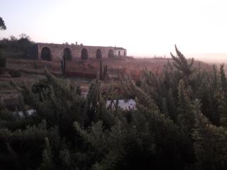 Masseria Agriturismo Moschella - Posta Piana - 1