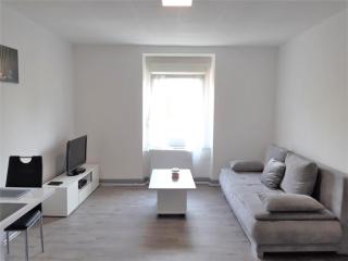 Comfort Stay Basel Airport RC46B - Saint-Louis - 9