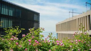 The Lalu Qingdao China - 1