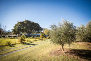 Damas Guest Farm - 3