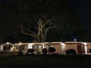 Damas Guest Farm - 8