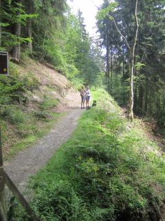 Schneekäppchen 2 - 1