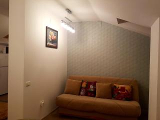 Apartament Fluturaș de Stâncă Comarnic - Comarnic - 4
