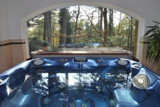 Private Wellness Apartment - Pécs - 0