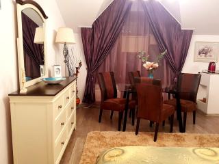 Apartament Fluturaș de Stâncă Comarnic - Comarnic - 6