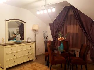 Apartament Fluturaș de Stâncă Comarnic - Comarnic - 8